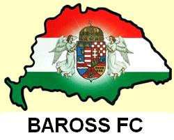 Zhonyi Baross Fc